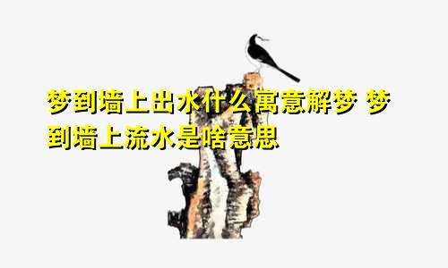 梦到墙上出水什么寓意解梦 梦到墙上流水是啥意思