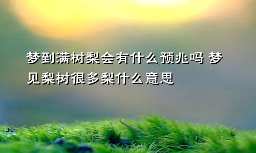 梦到满树梨会有什么预兆吗 梦见梨树很多梨什么意思