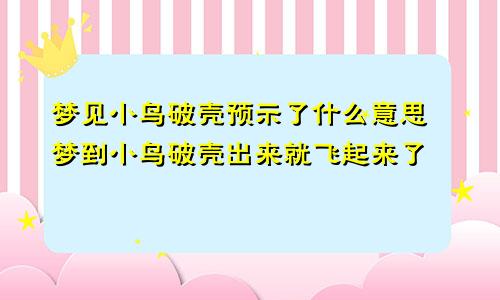 梦见小鸟破壳预示了什么意思 梦到小鸟破壳出来就飞起来了