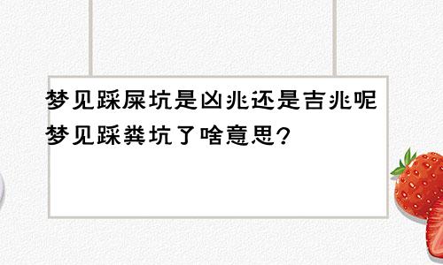 梦见踩屎坑是凶兆还是吉兆呢 梦见踩粪坑了啥意思?